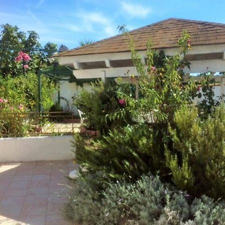 Appartement 3 Chambres Proche Mer Entre Palavas Les Flots Et Frontignan Plage Dans Maison Avec Jardin Villeneuve-lès-Maguelonne Buitenkant foto