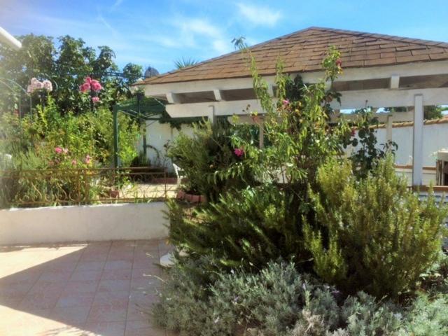 Appartement 3 Chambres Proche Mer Entre Palavas Les Flots Et Frontignan Plage Dans Maison Avec Jardin Villeneuve-lès-Maguelonne Buitenkant foto